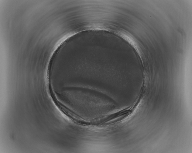 X0000113271141200909241538