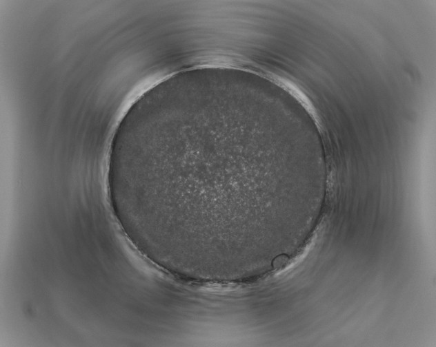 X0000113271146200909241538