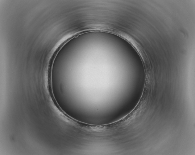 X0000113271147200909241538