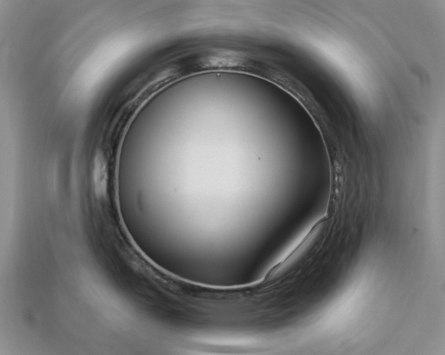 X0000113271151200909241538