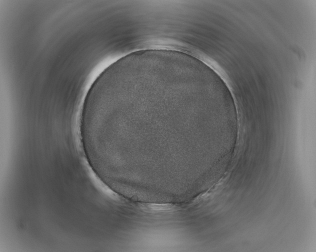 X0000113271152200909241538
