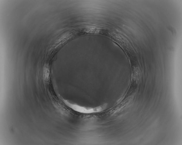 X0000113271154200909241537