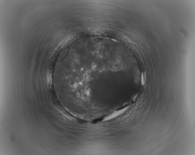 X0000113271155200909241537