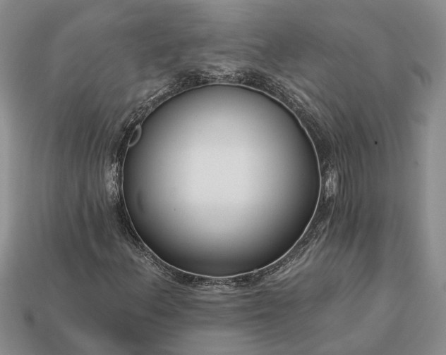 X0000113271156200909241537