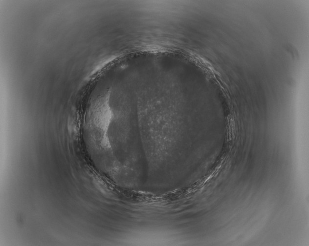 X0000113271158200909241537