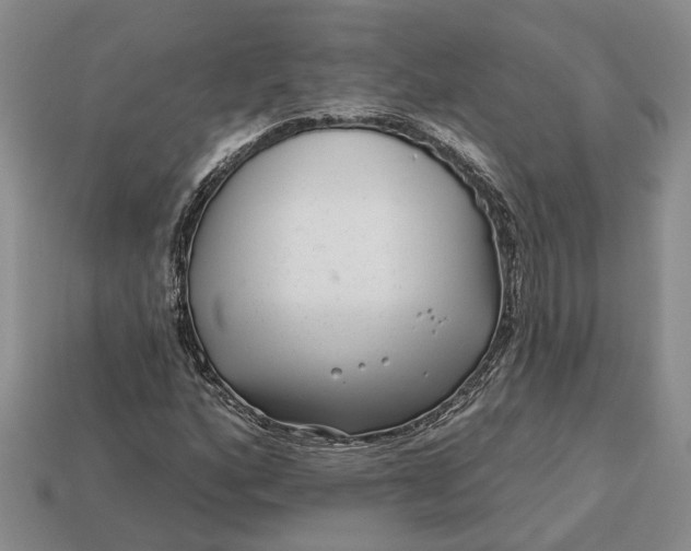 X0000113271160200909241537