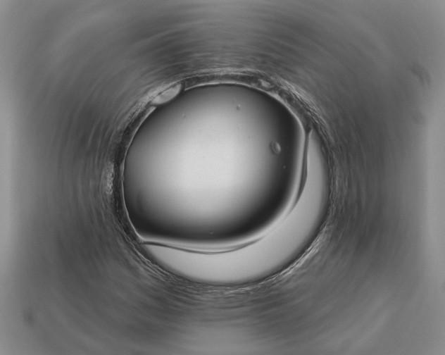 X0000113271161200909241537