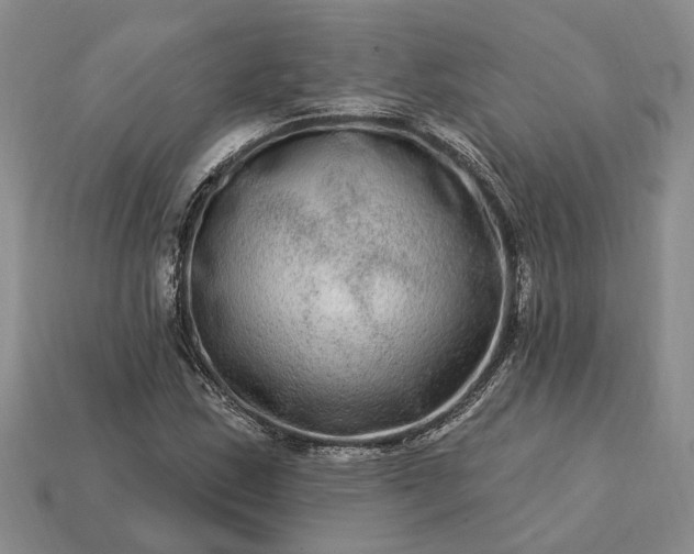 X0000113271163200909241537
