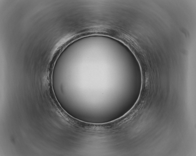X0000113271164200909241537