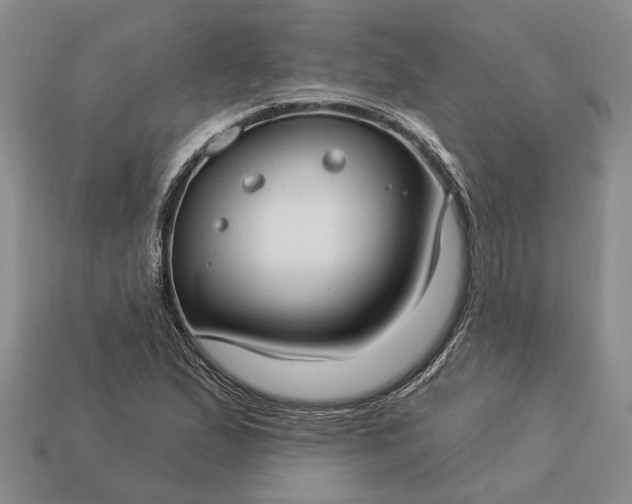 X0000113271167200909241537