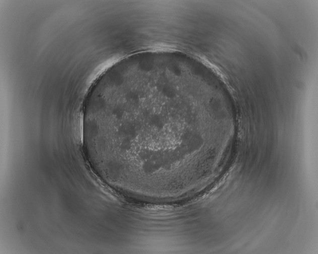 X0000113271171200909241537