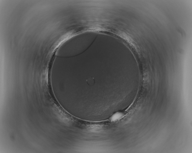 X0000113271173200909241537