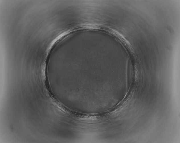 X0000113271174200909241537