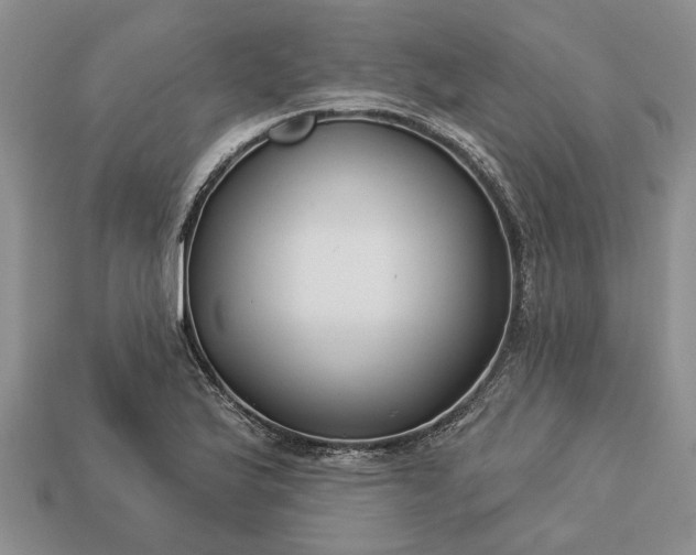 X0000113271175200909241537