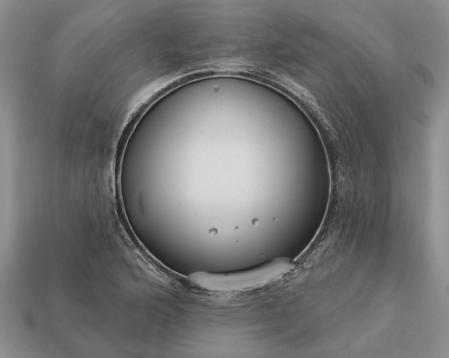 X0000113271176200909241537