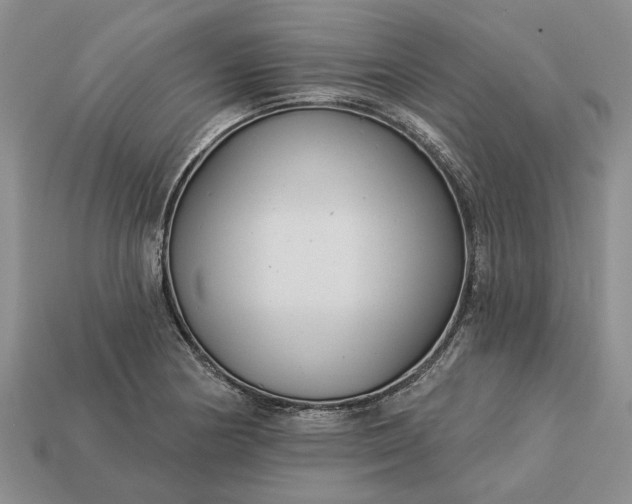 X0000113271178200909241537