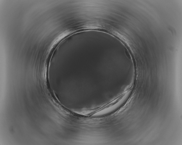 X0000113271179200909241537