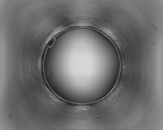 X0000113271181200909241537