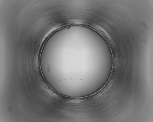 X0000113271182200909241537