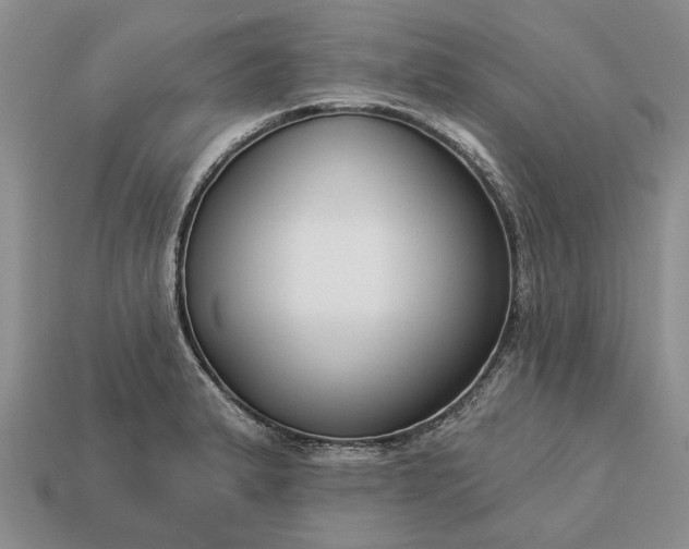 X0000113271183200909241537