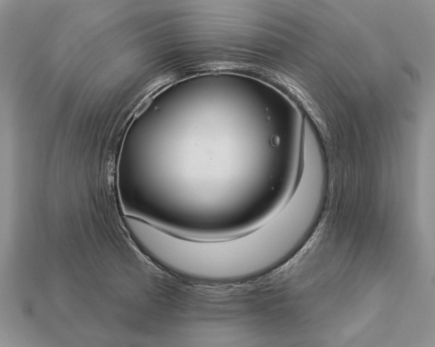 X0000113271185200909241537