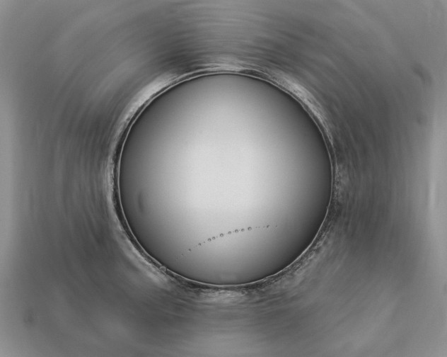 X0000113271187200909241537