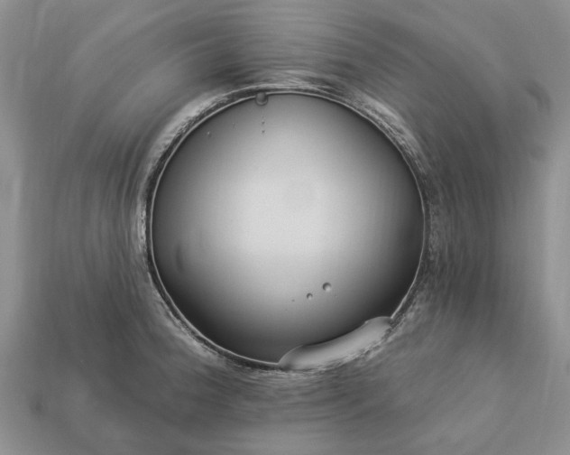 X0000113271188200909241537