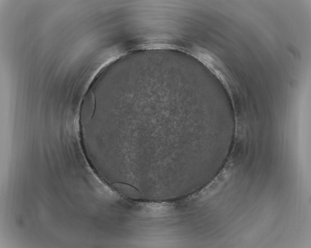X0000113271189200909241537
