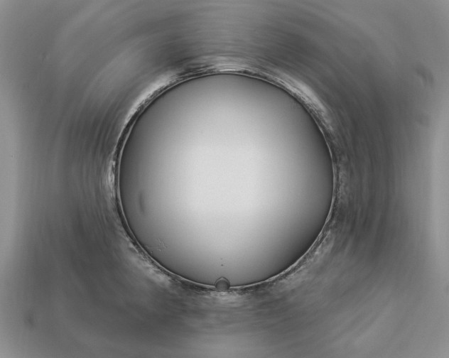 X0000113271190200909241537