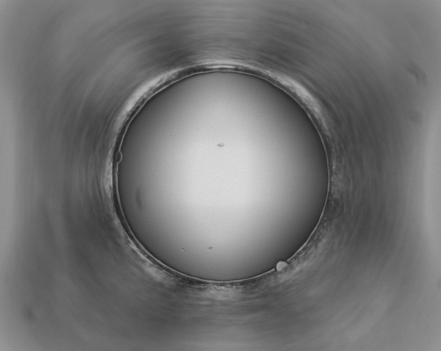 X0000113271191200909241537