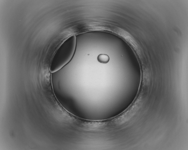 X0000113271193200909241537