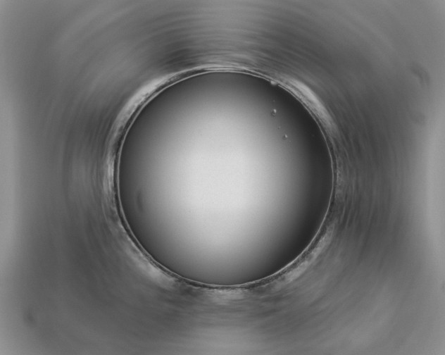 X0000113271196200909241536