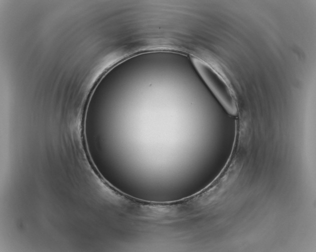 X0000113271197200909241536