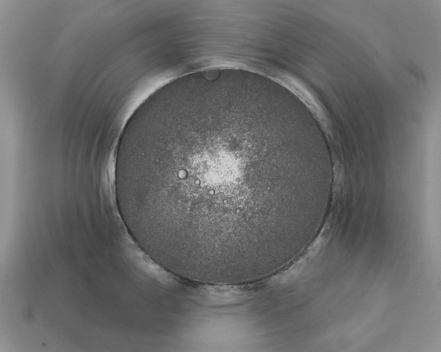 X0000113271198200909241536