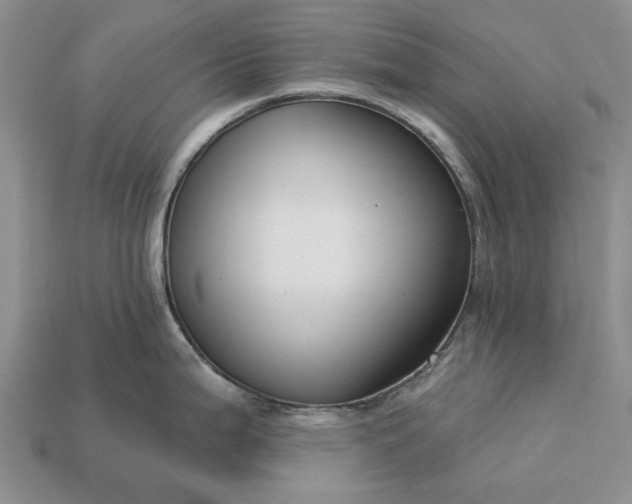 X0000113271199200909241536