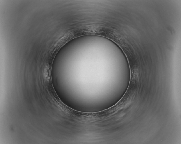 X0000113271202200909241536