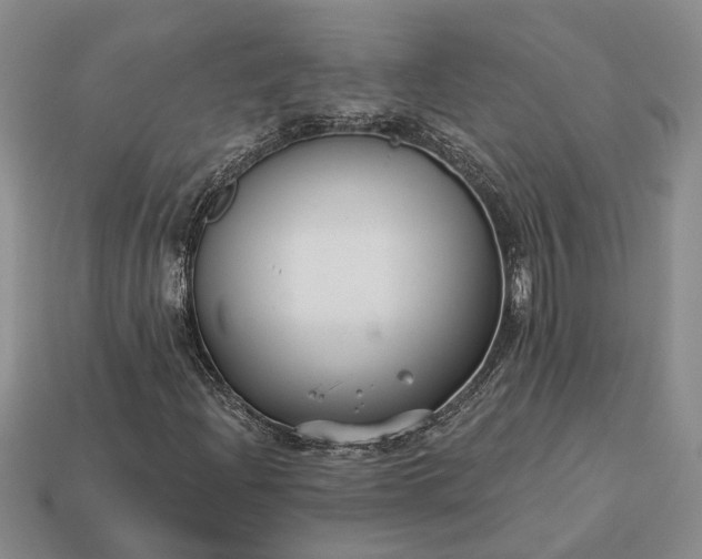 X0000113271204200909241536
