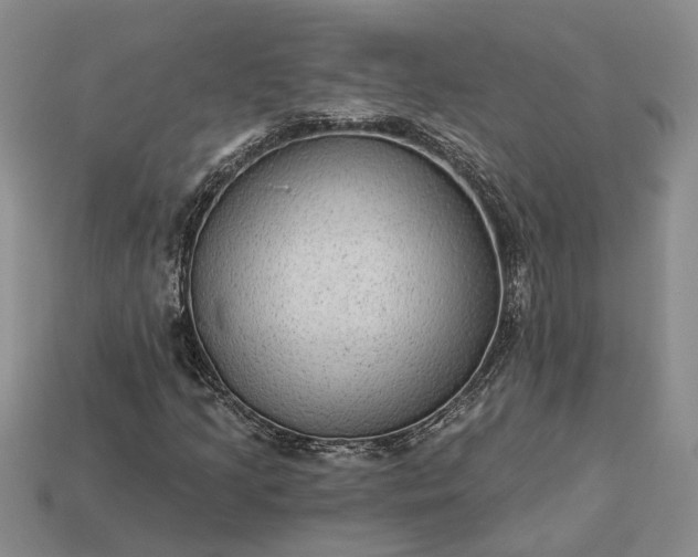 X0000113271205200909241536