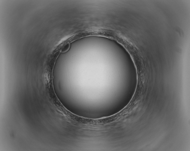 X0000113271206200909241536