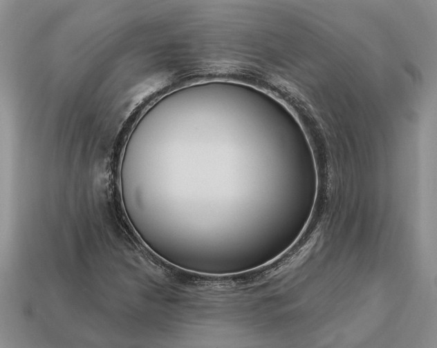 X0000113271210200909241536