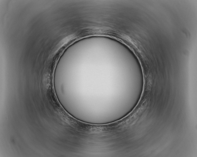 X0000113271211200909241536