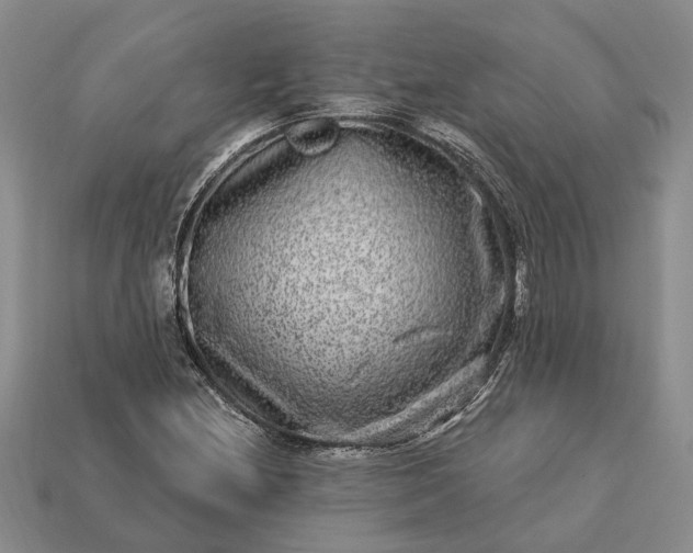 X0000113271212200909241536