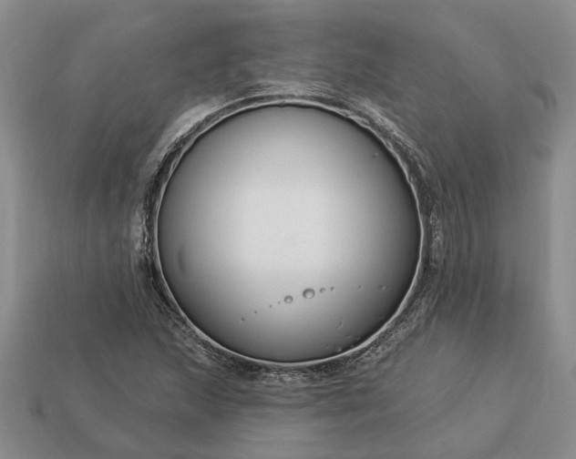 X0000113271215200909241536