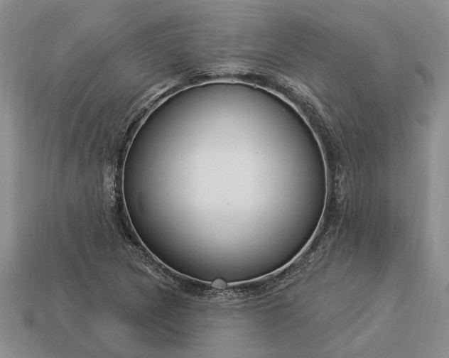 X0000113271217200909241536