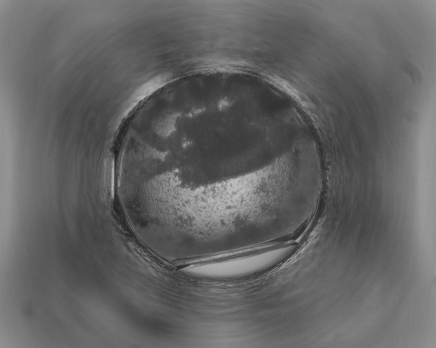 X0000113271219200909241536