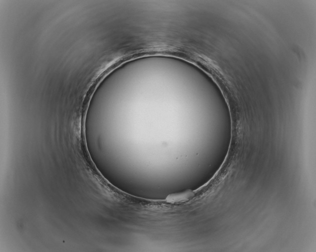 X0000113271220200909241536