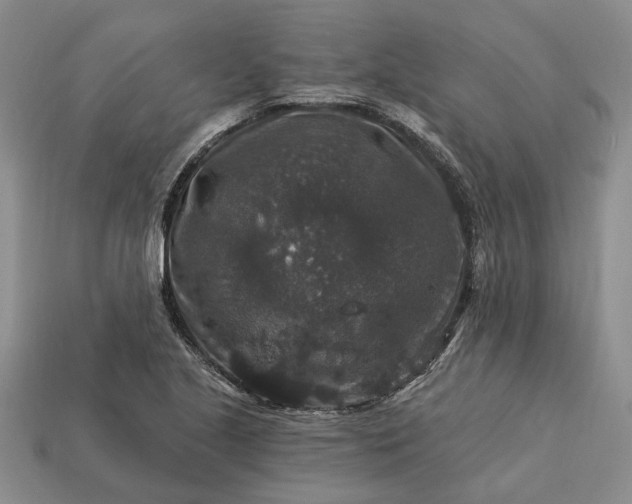 X0000113271221200909241536