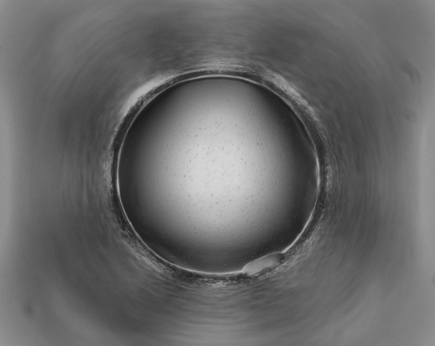 X0000113271222200909241536