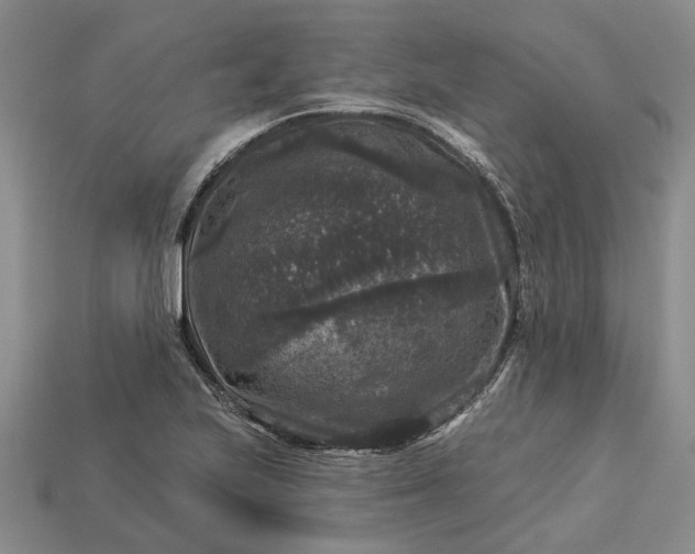 X0000113271223200909241536