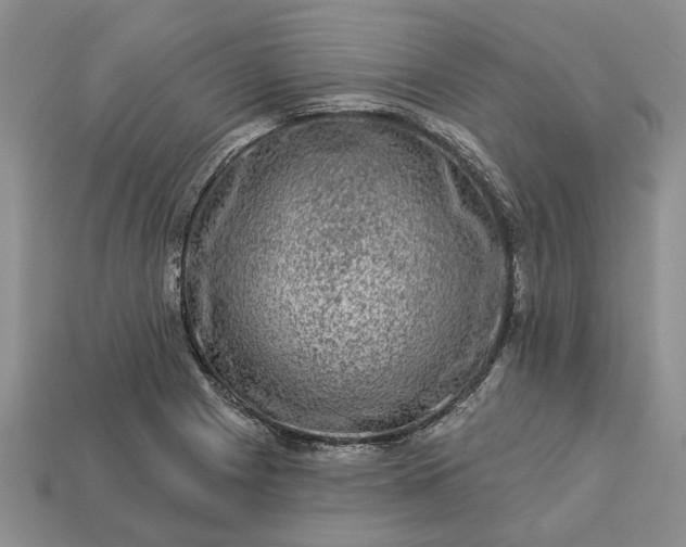 X0000113271225200909241536